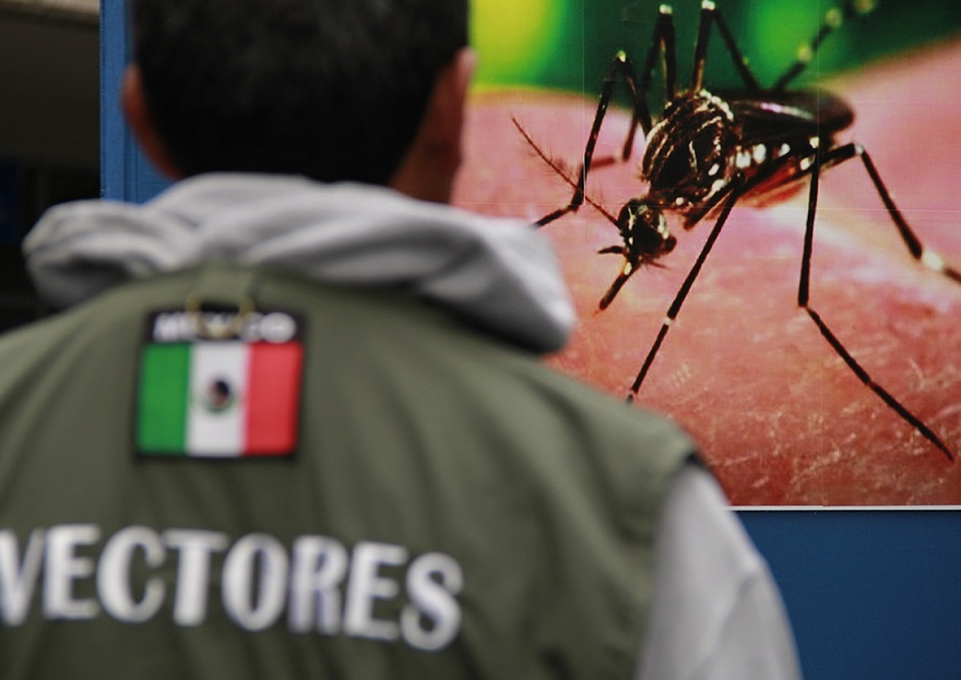 MÁS DE 33 AÑOS SIN CASOS CONFIRMADOS DE PALUDISMO EN BC