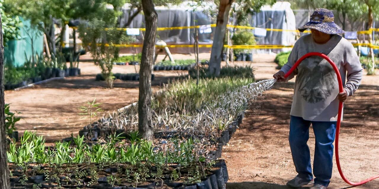 A PROTEGERSE DE LAS ALTAS TEMPERATURAS Y FUERTES VIENTOS 
