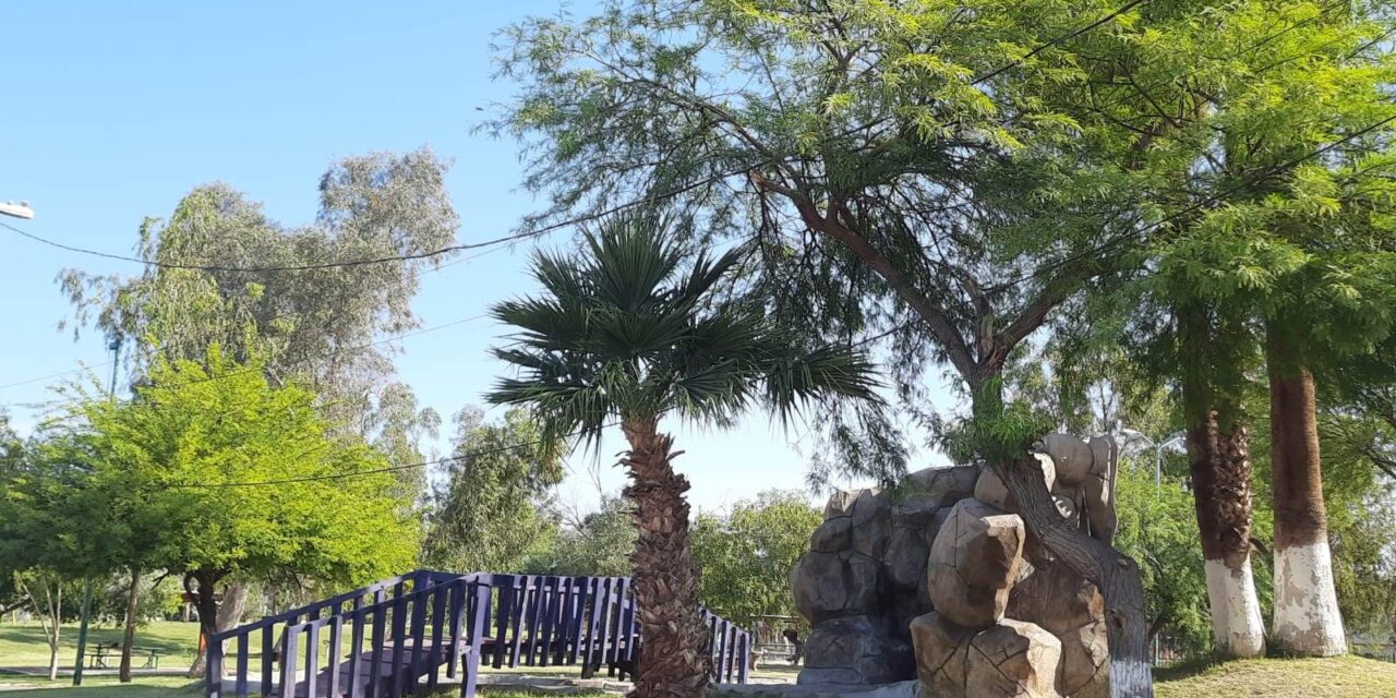 SISTEMA DE AGUAS RESIDUALES PARA RIEGO EN PARQUE VICENTE GUERRERO