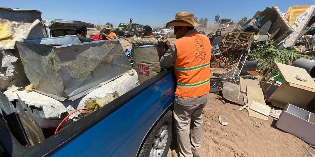 MÁS DE 3 MIL TONELADAS DURANTE EL OPERATIVO “MUEBLE VIEJO”