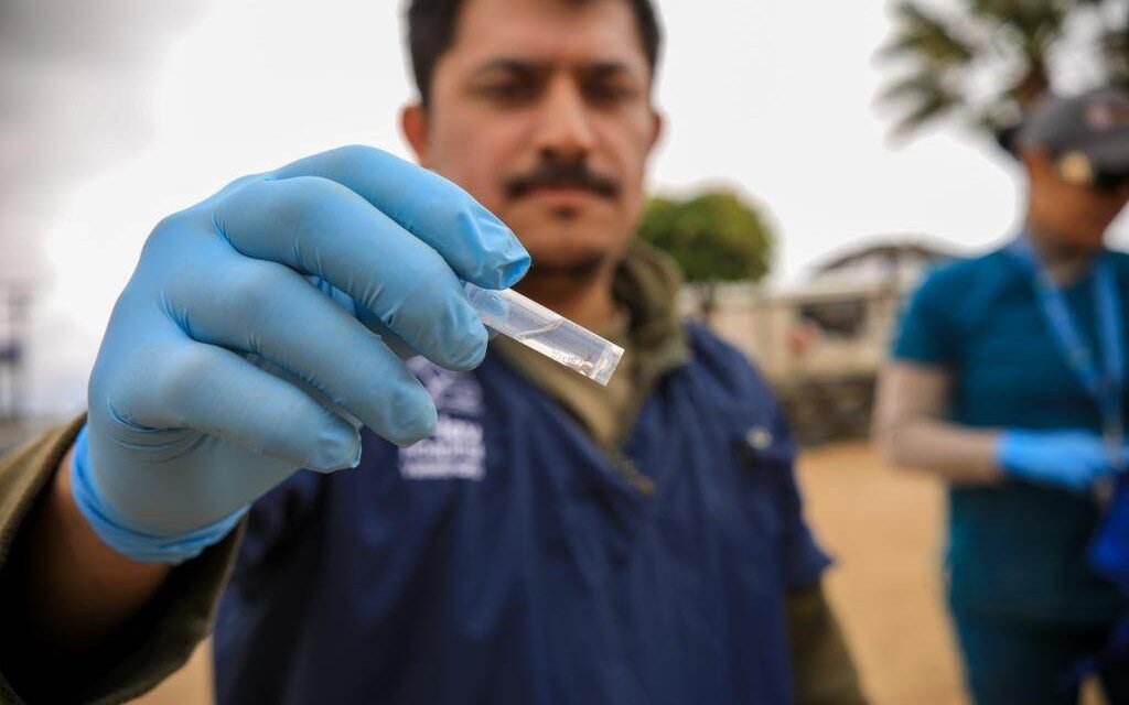 REFUERZAN ACCIONES BINACIONALES CONTRA LA RICKETTSIA