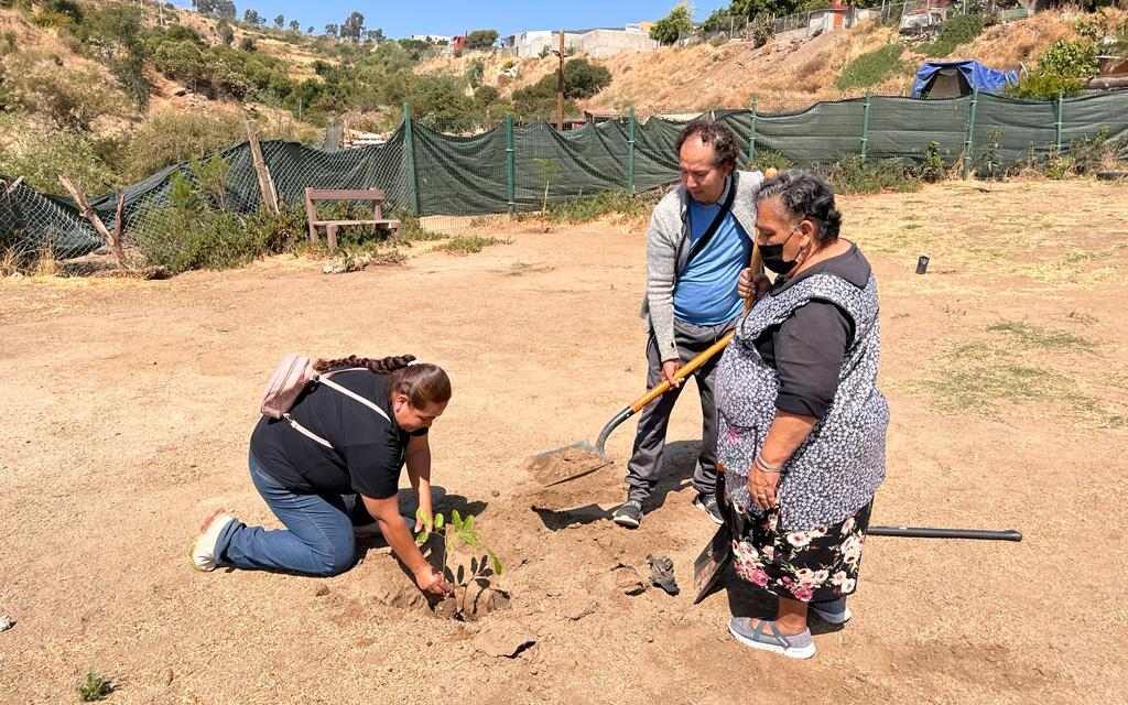 JORNADA DE REFORESTACIÓN EN LOS ENCINOS