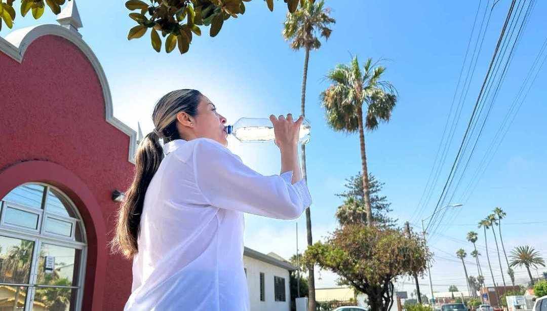LAS HORAS CRÍTICAS SON DE LAS 11 A 4 DE LA TARDE 