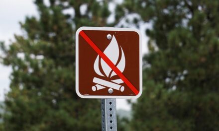 9 DE CADA 10 INCENDIOS FORESTALES SON OCASIONADOS POR LAS PERSONAS 