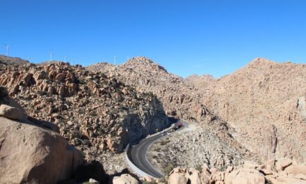 MANTIENE FIARUM CONCESIÓN DE CARRETERA A LA RUMOROSA