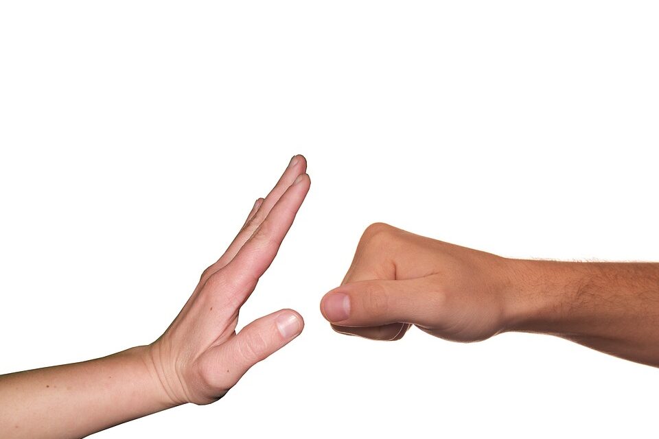 LEY ESTATAL A FAVOR DE UNA VIDA LIBRE DE VIOLENCIA