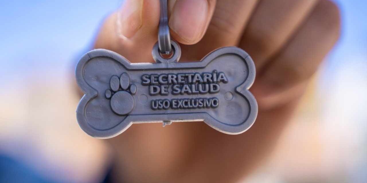 IMPORTANTE MANTENER A SUS MASCOTAS VACUNADAS