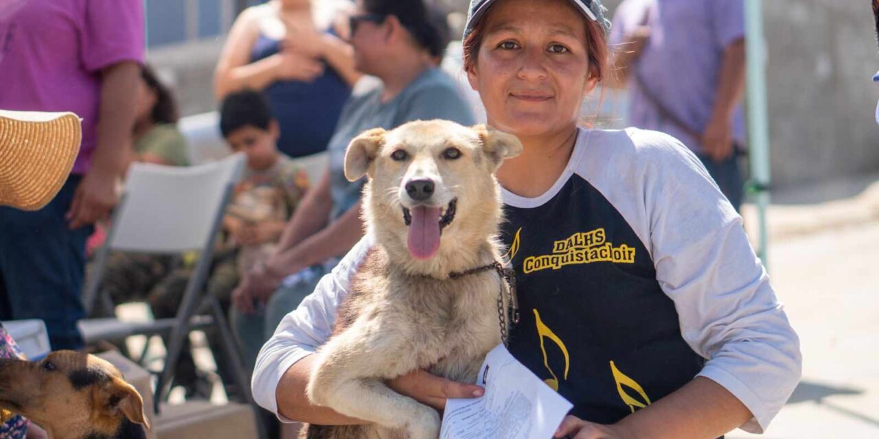 MEDIDAS PREVENTIVAS CONTRA LA RICKETTSIA DURANTE LA TEMPORADA DE FRÍO