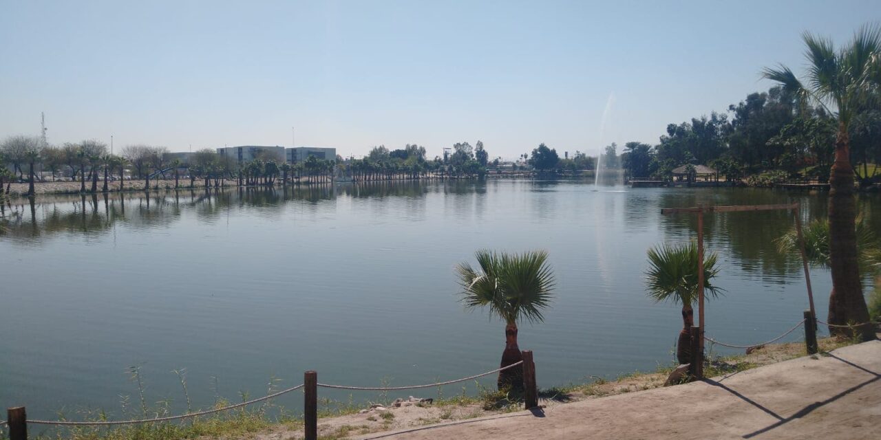 MÁS DE 500 MIL VISITANTES EN 2023 AL BOSQUE DE LA CIUDAD DE MEXICALI