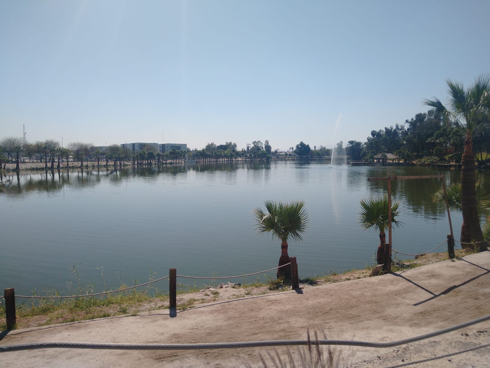 MÁS DE 500 MIL VISITANTES EN 2023 AL BOSQUE DE LA CIUDAD DE MEXICALI