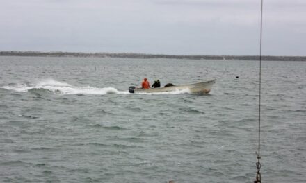 ALTOS NIVELES DE SAXITOXINA EN ALTO GOLFO DE CALIFORNIA 