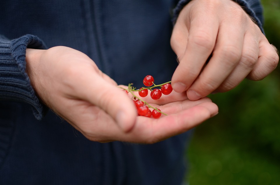 A CONSUMIR FRUTAS ANTE BAJAS TEMPERATURAS