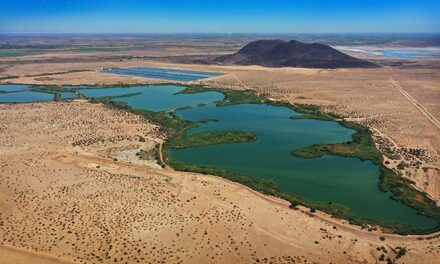 EL HUMEDAL DE LAS ARENITAS
