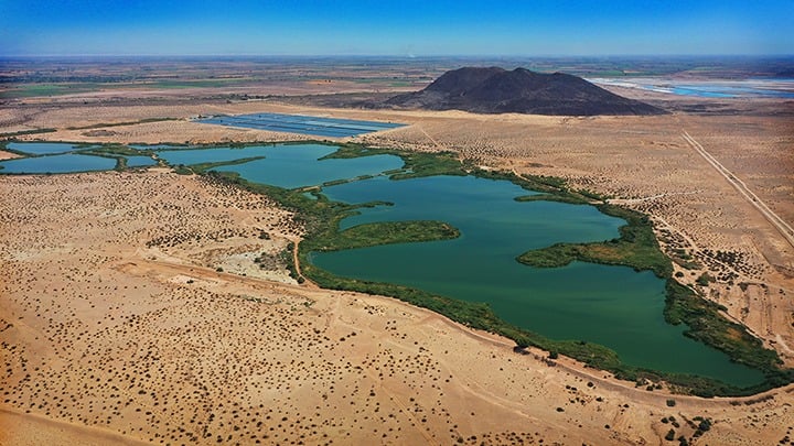 EL HUMEDAL DE LAS ARENITAS