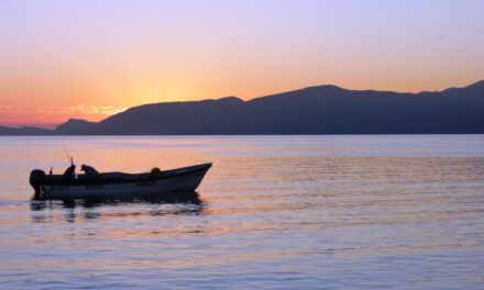 VEDA SANITARIA PARA COSECHA DE MOLUSCOS BIVALVOS EN ALTO GOLFO DE CALIFORNIA