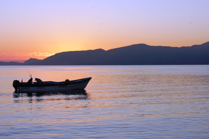 VEDA SANITARIA PARA COSECHA DE MOLUSCOS BIVALVOS EN ALTO GOLFO DE CALIFORNIA