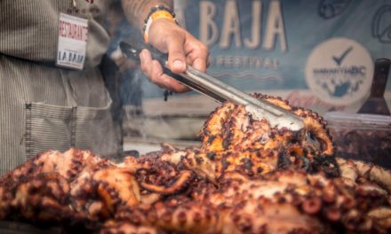 MÁS DE 324 RESTAURANTES ESPECIALIZADOS EN PESCADOS Y MARISCOS