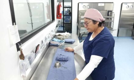 VALIOSA LABOR DE PERSONAL DE LAS CENTRALES DE ESTERILIZACIÓN EN HMIM