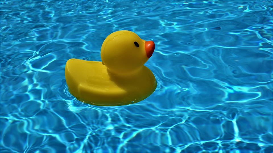 DEBEN BAÑARSE EN ALBERCAS CERTIFICADAS