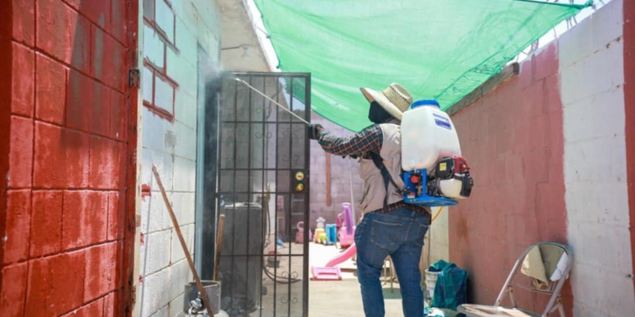 LA CLAVE PARA PREVENIR LA RICKETTSIA EN EL HOGAR