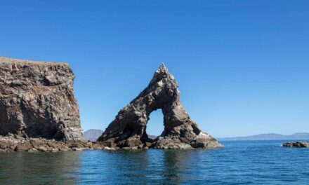 EL ÁREA NATURAL PROTEGIDA DE BAHÍA DE LOS ÁNGELES