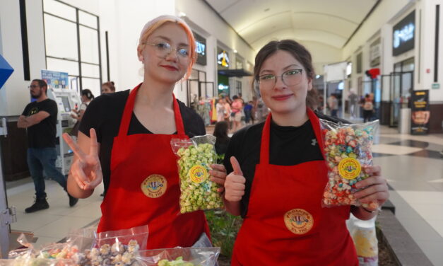 FIN DE SEMANA DE BAZAR ORGÁNICO EN PLAZA LA GRAN VIA