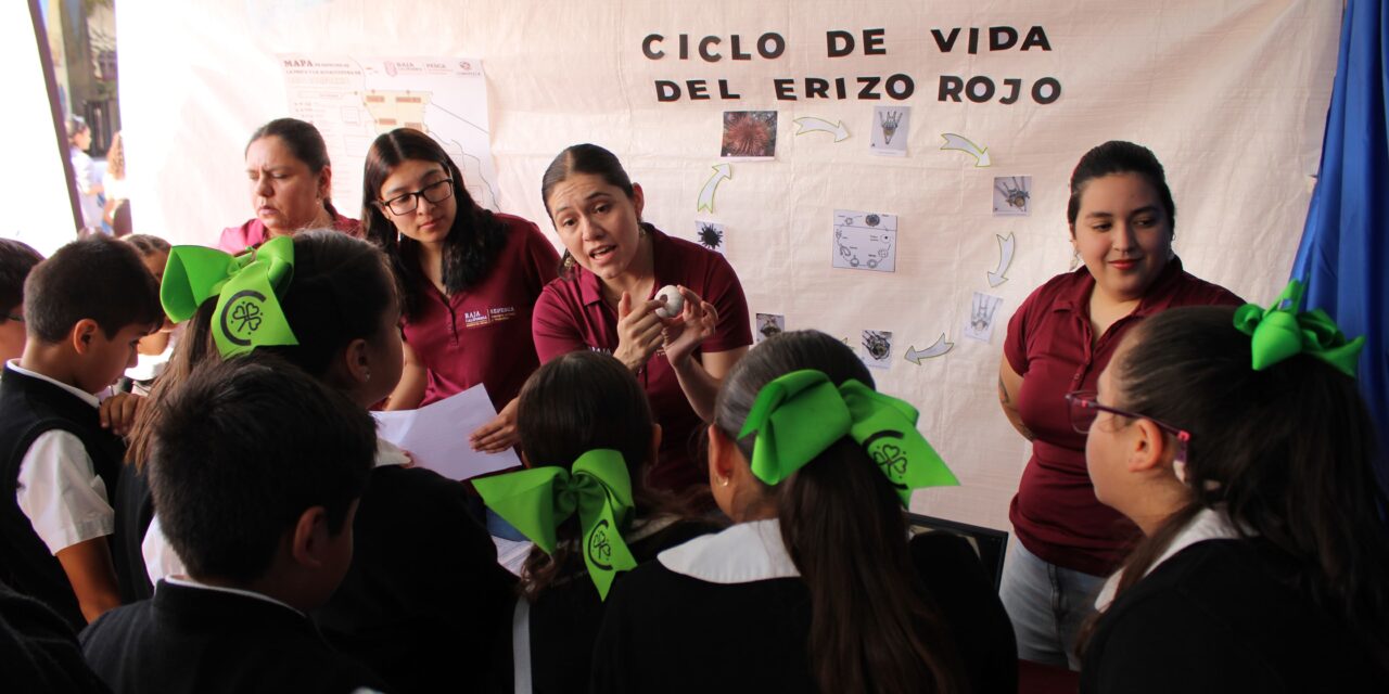 EXPOSICIÓN SOBRE LA IMPORTANCIA DE LOS ECOSISTEMAS MARINOS