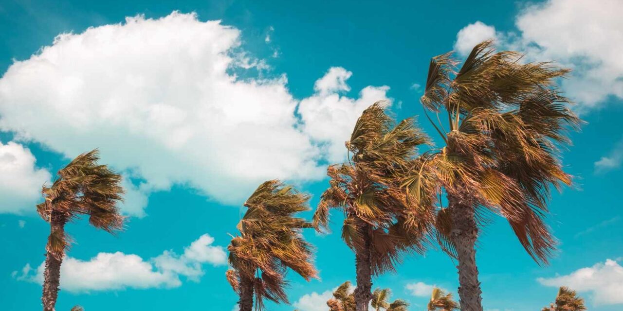 ATENTOS ANTE LA LLEGADA DE LOS VIENTOS DE SANTA ANA