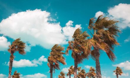 ATENTOS ANTE LA LLEGADA DE LOS VIENTOS DE SANTA ANA