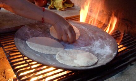 APOYO A 44 PROYECTOS CULTURALES COMUNITARIOS