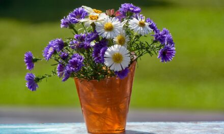 TENGA CUIDADO CON AGUA ESTANCADA EN FLOREROS PARA IMPEDIR CRIADEROS DE MOSQUITOS