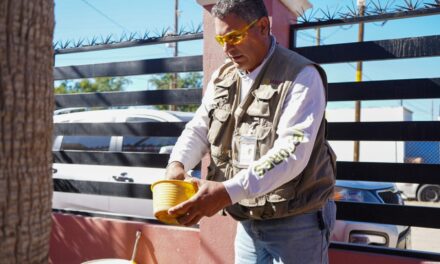 NADA DE  BAJAR LA GUARDIA ANTE MOSQUITO TRANSMISOR DEL DENGUE