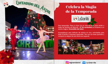 EL 27 DE NOVIEMBRE TODOS A PLAZA LA GRAN VÍA  