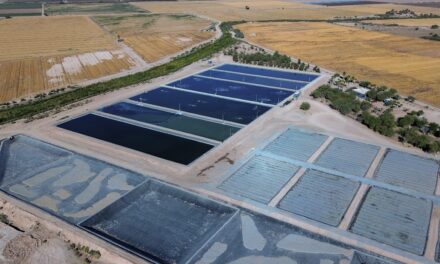 HUMEDAL ARTIFICIAL EN GUADALUPE VICTORIA DEL VALLE DE MEXICALI