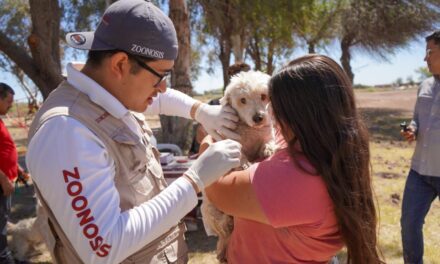 IMPULSAN LA ESTERILIZACIÓN PARA UNA MEJOR SALUD ANIMAL