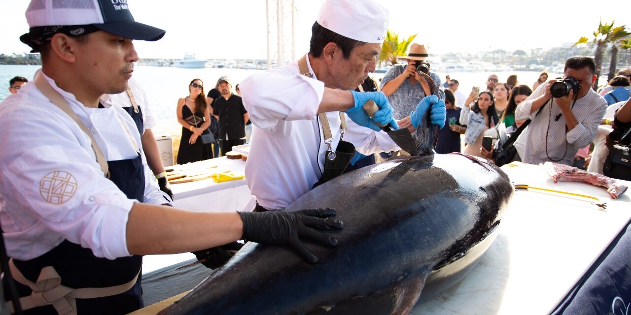 EL 11 Y 12 DE JULIO COCINA LA BAJA CON LO MEJOR DE LOS MARES DE BC