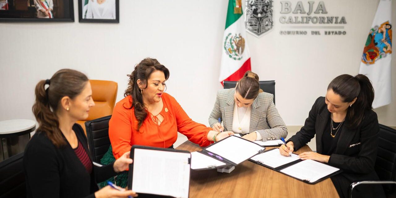 ALIANZA PARA IMPULSAR EL ARTE Y CULTURA DE LOS PUEBLOS ORIGINARIOS Y AFROMEXICANOS  