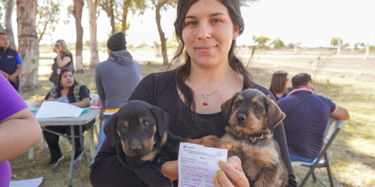 ACCIONES CONTRA LA RICKETTSIA HASTA EL 1 DE MARZO