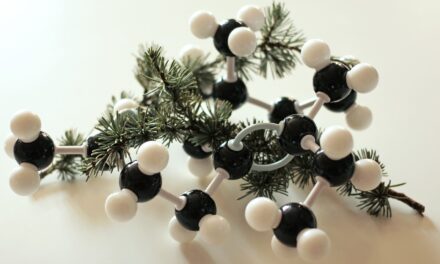 LOS RETOS QUE ENFRENTA EL HIDRÓGENO VERDE