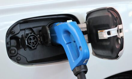 LOS RETOS DE LA PRIMERA AUTOMOTRIZ ELÉCTRICA MEXICANA