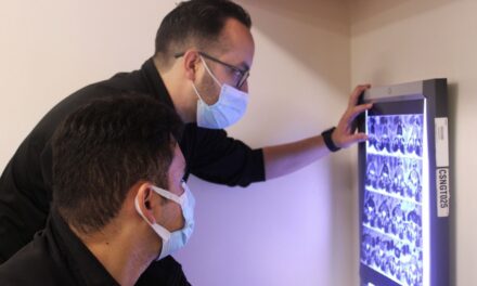 PREVENIR Y DETECTAR ENFERMEDADES NEUROLÓGICAS PARA UNA BUENA SALUD CEREBRAL