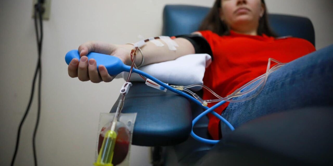 REGISTRAN MÁS DE 70 MIL DONACIONES DE SANGRE AL AÑO EN BC