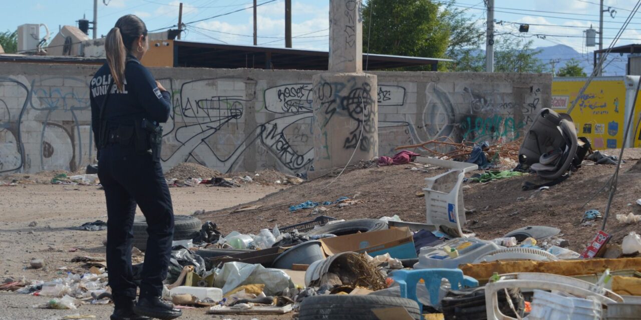 “TOLERANCIA CERO” ANTE QUIENES DAÑAN EL AMBIENTE EN MEXICALI