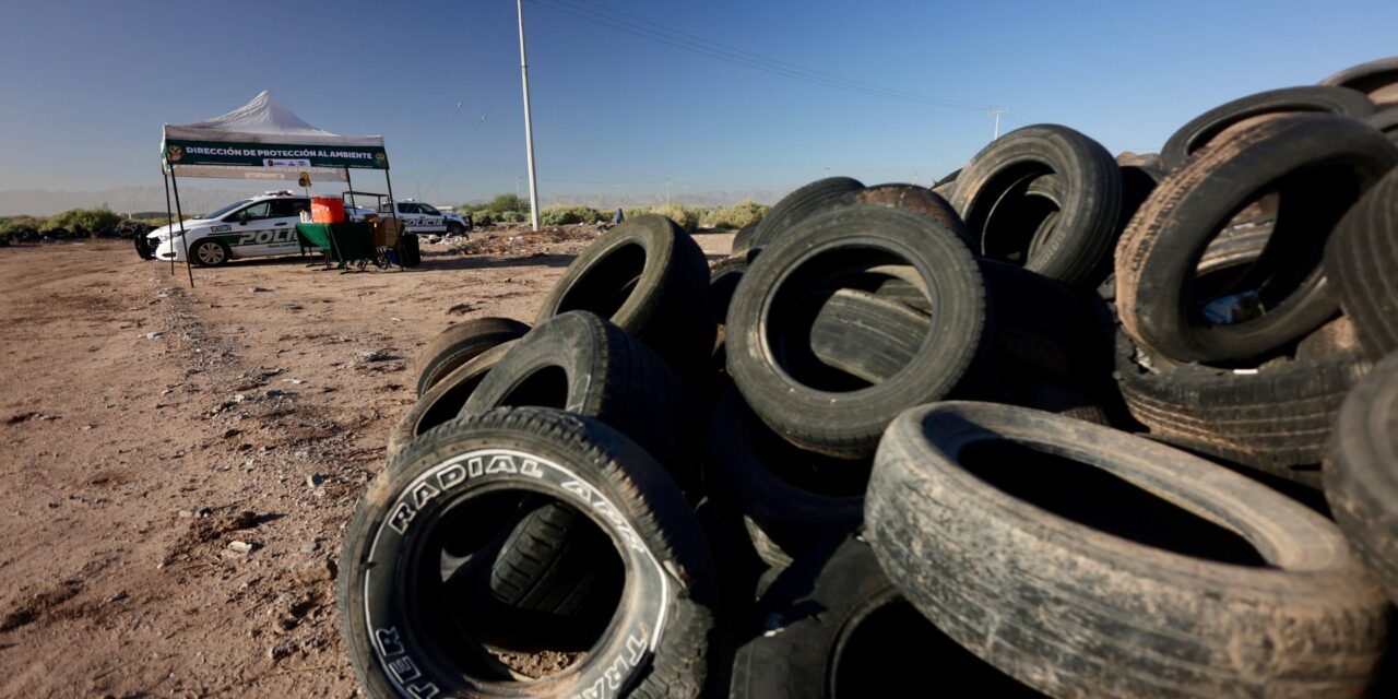 AYUDAN AL MEDIO AMBIENTE CON RECOLECCIÓN DE LLANTAS EN MEXICALI  