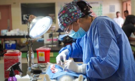 MÁS DE 18 MIL PROCEDIMIENTOS EN PERROS Y GATOS