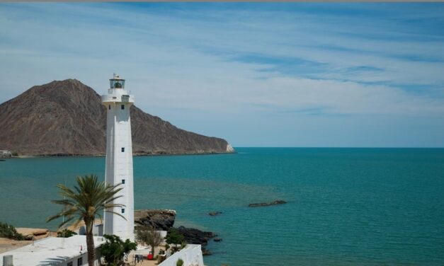 POSIBLES INDICIOS DE REPRODUCCIÓN DE VAQUINA MARINA, AFIRMA TITULAR DE SEPESCA BC