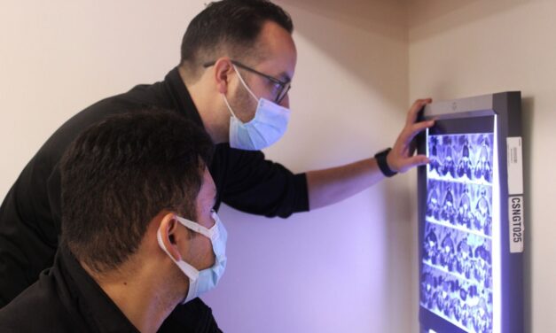 IMPULSAN UN ENFOQUE MÉDICO MULTIDISCIPLINARIO