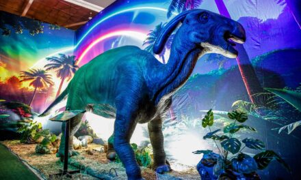LLEGAN LA EXPOSICIÓN “DINOSAURIOS ANIMATRONICS”