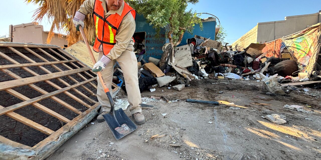“CERO TOLERANCIA” A TERRENOS BALDÍOS Y CASAS ABANDONADAS EN MEXICALI