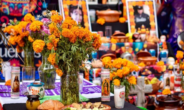 EVITE AGUA ESTANCADA PARA PREVENIR CRIADEROS DE MOSQUITOS